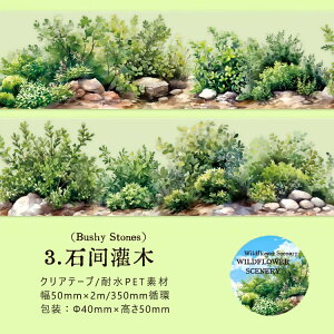 即日出荷 クリアテープ マスキングテープ 透明 耐水 PET シームレス 幅広50mm 多肉植物 低木 灌木 植物 木 樹 草花 樹木 敷石 ストーン ガーデニング 石 庭 イラスト シール コラージュ素材 おし