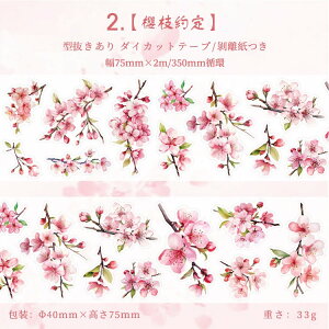 o ^ L75mm _CJbg  ϐ }XLOe[v   Ԃт ԕ t ͂ ̉ ̎} } ؎} } CXg V[ _CJbge[v R[Wf NAe