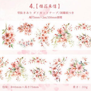 o ^ L75mm _CJbg  ϐ }XLOe[v   Ԃт ԕ t ͂ ̉ ̎} } ؎} } CXg V[ _CJbge[v R[Wf NAe