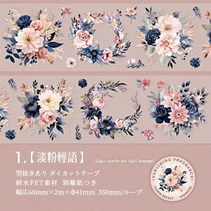 o ^ NAe[v L60mm KN [Y Ԃт ԕ CXg  ϐ }XLOe[v _CJbge[v Ch^Cv R[Wf hV[  PET V[ _C