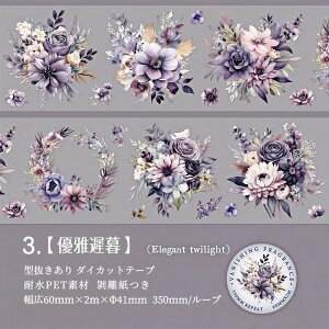 o ^ NAe[v L60mm KN [Y Ԃт ԕ CXg  ϐ }XLOe[v _CJbge[v Ch^Cv R[Wf hV[  PET V[ _C