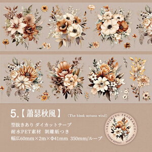 �����o�� �^���� �N���A�e�[�v ���L60mm �K�N ���[�Y �Ԃт� �ԕ� �C���X�g ���� �ϐ� �}�X�L���O�e�[�v �_�C�J�b�g�e�[�v ���C�h�^�C�v �R���[�W���f�� �h���V�[�� ������� PET �V�[�� �_�C