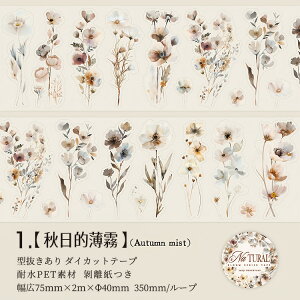 o ^ L75mm _CJbge[v NAe[v ԕ t  ` ԕV[ t[NV[ [V[ R[Wf CO  킢 ϐ }XLOe[v R