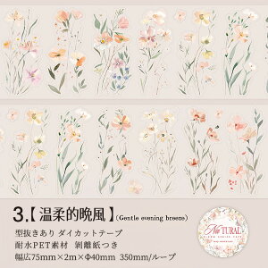 o ^ L75mm _CJbge[v NAe[v ԕ t  ` ԕV[ t[NV[ [V[ R[Wf CO  킢 ϐ }XLOe[v R