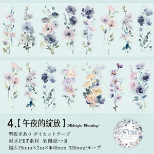 o ^ L75mm _CJbge[v NAe[v ԕ t  ` ԕV[ t[NV[ [V[ R[Wf CO  킢 ϐ }XLOe[v R