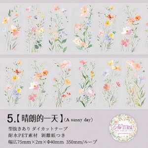 o ^ L75mm _CJbge[v NAe[v ԕ t  ` ԕV[ t[NV[ [V[ R[Wf CO  킢 ϐ }XLOe[v R