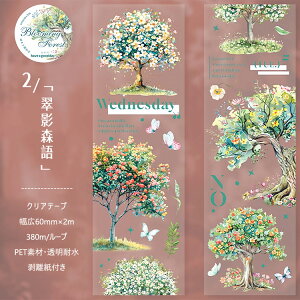 �����o�� �N���A�e�[�v ���L60mm �� �� �p�� ��`�� ���ʉ� �A�� ���� ��� ��� �A�� �c���[ �C���X�g �V�[�� 1�{�̖� �H�̖� �s���N�̖� �J���t���Ȗ� �R���[�W���f�� �V�[�� PET ���� �}�X�L