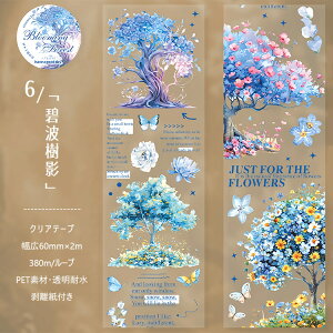 o NAe[v L60mm   p ` ʉ A    A c[ CXg V[ 1{̖ H̖ sN̖ JtȖ R[Wf V[ PET  }XL