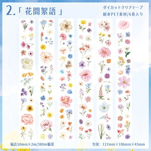 o ^ Ⴂ6_ _CJbge[v  Ԃт ԕ t[NV[ R[Wf Zbg ϐ }XLOe[v L50mm [V[ XebJ[ NAe[v PET