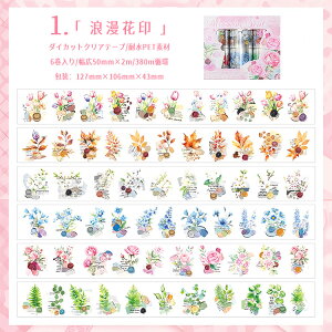 o ^ Ⴂ6_ _CJbg NAe[v ԕ KN [Y AWTC z ԑ gt t R[Wf Zbg }XLOe[v ϐ L50mm [V[ p