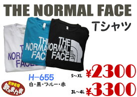 【おもしろTシャツ】THE NORMAL FACE Tシャツ