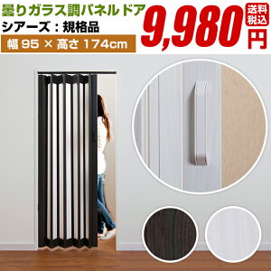 AR[fBIhA plhA Ԏd؂ AR[fBIJ[e   yVA[Y tlX 95x174cmzIT _ Kii   iPF n  L  呋