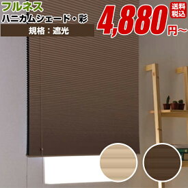 プレーンシェード ローマンシェード ハニカムシェード 【フルネス 彩 シングル 遮光タイプ 規格サイズ 40cm×135cm】窓用 遮光 羽 (遮光 防炎 遮熱 洗える UV 無地 シングル 国産 日本製 高級)