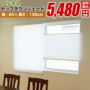 v[VF[h [}VF[h njJVF[hygbv_EVF[h KiTCY 60cm×135cmzp H (ՔM UV n VO)