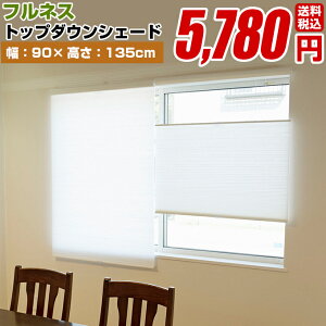 v[VF[h [}VF[h njJVF[hygbv_EVF[h KiTCY 90cm×135cmzp H (ՔM UV n VO)