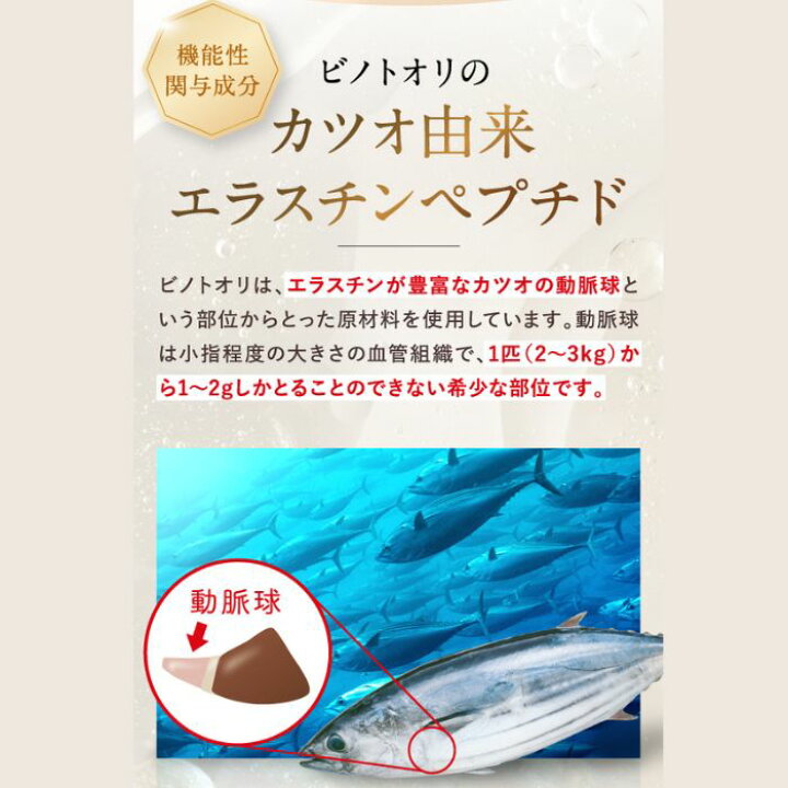 楽天市場】10%OFF P10倍【公式】 ビノトオリ 1ヶ月分 31粒 1日1粒目安 