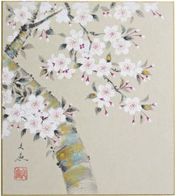 肉筆色紙　桜 中谷文魚【当日出荷可能】