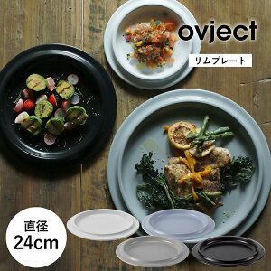 ovject ق낤v[g 24cm  IuWFNg  z[[ v[g M ΑΉ I[uΉ X^bLO az[[ H Lv BBQ AEghA  JtF X^