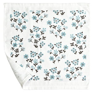 { K[[^I nh^I ܂^I nJ` Vv q qǂ xr[  k  Ԃ  100 ^I B^I V Y  w Gv^I 