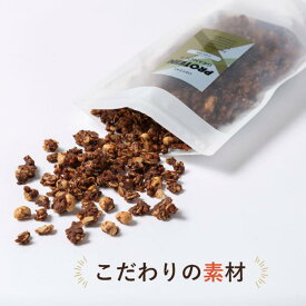 米麹 プロテイン グラノーラ ココア 200g オートミール タンパク質 補給 保存料不使用 ギフト プレゼント ラッピング 常温ストック