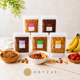 米麹 グラノーラ 大容量 700g シリアル オートミール グラノーラ 食品 業務用 ギフト プレゼント 非常食 保存食 健康