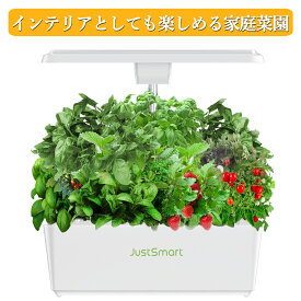 楽天ランキング1位 家庭菜園 水耕栽培 キット LED 野菜栽培キット 室内 静か 植木鉢 プランター おしゃれ LEDライト付 観葉植物 スポンジ タイマー機能付 循環式ポンプ ガーデニング 植物育成 育苗キット