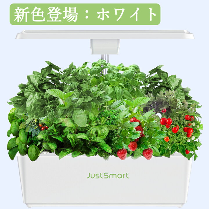 楽天市場】水耕栽培 キット LED 野菜栽培キット 室内 静か 家庭菜園 