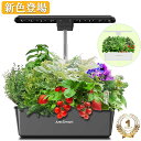 お買い物マラソンP5倍 お試し価格 楽天ランキング1位 水耕栽培 キット LED 野菜栽培キット 室内 静か 家庭菜園 植木鉢…