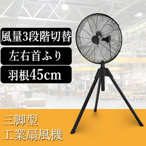 i H 45cm HƗp@ ^ X^h^ C ʂ HƐ@ H@ Ɩp ^@ Or^ T[L[^[ @   Ɩp@ u U q H