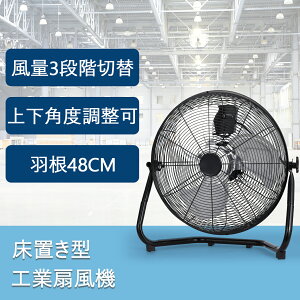 ʌ艿i H ^ 48cm tA^ U HƗp@ u C ʂ HƐ@ H@ Ɩp ^@ A~@ T[L[^[ @   Ɩp@ 