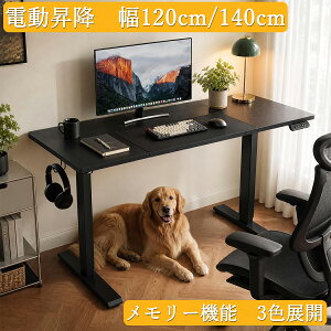 ����|�C���gUP ���r���[���T�t�� ���~�f�X�N �d�� �d�����~�f�X�N �� 120cm 140cm ���~���f�X�N �X�^���f�B���O�f�X�N ���~���e�[�u�� �I�t�B�X�f�X�N �d���f�X�N �p�\�R���f�X�N PC�f�X�N ��