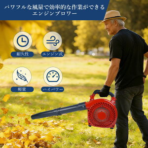 r[Tt Vo u[ u  28cc GWu[ K\ nfB^Cv ^ y t| t | @ t̐΂ Ŋ | GWu