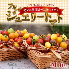 まるでトマトの宝石箱！ フルーツ ジュエリートマト約1.6kg 長田農園 産地直送 トマト とまと 野菜 やさい サラダ 濃厚 甘い ご褒美 プレゼント 美容 健康