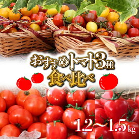 おすすめ トマト3種食べ比べセット 1.2キロ～1.5キロ 長田農園 産地直送 長田農園しかできない夢の共演 個数限定 さくらんぼトマト フルーツジュエリーミニトマト トマトベリー トマト とまと 野菜 やさい サラダ 甘い 食べ物 プレゼント 美容 健康