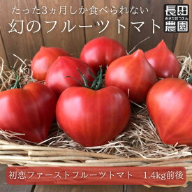 お待たせしました 今期販売スタート 初恋フルーツトマト（1箱約1.4キロ前後10～25個）期間限定 2月末から5月末まで 愛知県産 長田農園 産地直送 トマト とまと 野菜 やさい サラダ 濃厚 甘い ご褒美 プレゼント 美容 健康