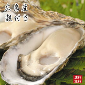 広島産 生牡蠣(かき） 殻付き お徳用 （35個入）【送料無料】S-M わけあり 自宅用 贈答用 カンカン焼き用可