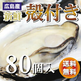 広島産 殻付き 牡蠣 （かき）80個入り 1斗缶【送料無料】