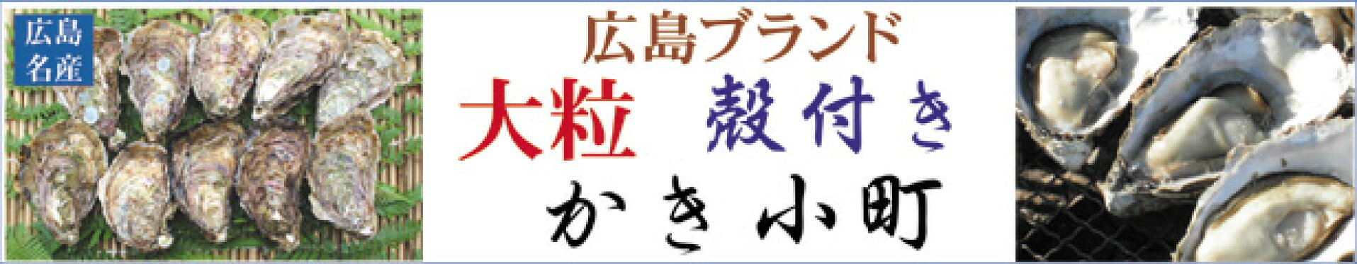 広島産　大粒 殻付き「広島かき小町」