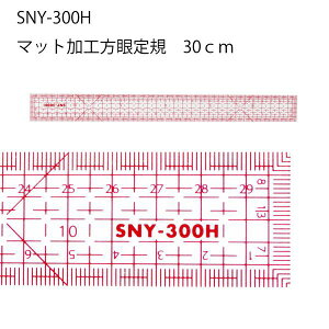 yyVLO1ʁzSNYKЖʃ}bgH30cm@SNY-300Hipb`[N@}ā@Ԋu@ʂ@s@30cm@50cm@L@@K@@g₷@@D@