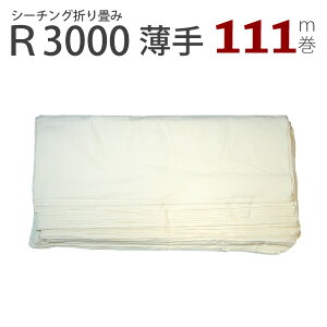 V[`O܂(91x111m)R3000i}XN@n@炵@N@K[[@p@ȁ@100@lp@qp@Ƃȁ@n@@D@~V@nhCh@@j