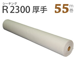 V[`O[(91x55m)R2300i}XN@n@炵@N@K[[@p@ȁ@100@lp@qp@Ƃȁ@n@@D@~V@nhCh@@j