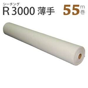 V[`O[(91x55m)R3000i}XN@n@炵@N@K[[@p@ȁ@100@lp@qp@Ƃȁ@n@@D@~V@nhCh@@j