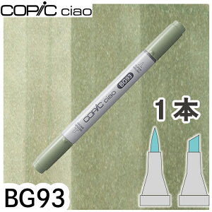 �R�s�b�N�`���I�P�iBG93