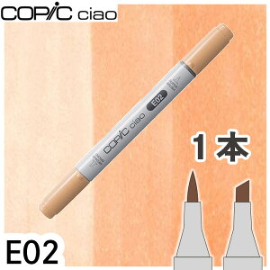 �R�s�b�N�`���I1�{�P�i E02 Fruit Pink �t���[�c�s���N ���F �l�� �h�� �� �e �A���R�[���}�[�J�[ �C���X�g ��� COPIC ciao �R�s�b�N ���S��