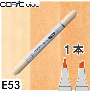 �R�s�b�N�`���I1�{�P�i E53 Raw Silk ���[�V���N ���F �l�� �h�� �� �e �A���R�[���}�[�J�[ �C���X�g ��� COPIC ciao �R�s�b�N ���S��
