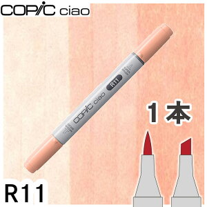 �R�s�b�N�`���I�P�iR11