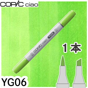 �R�s�b�N�`���I�P�iYG06