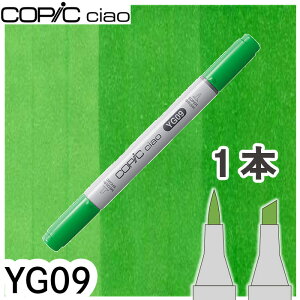 �R�s�b�N�`���I1�{�P�i YG09 Lettuce Green ���^�X�O���[�� ���F �I�����W �� �n�C���C�g �A���R�[���}�[�J�[ �C���X�g ��� COPIC ciao �R�s�b�N ���S��