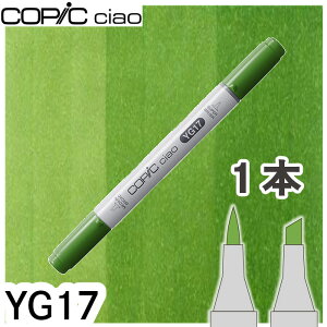 �R�s�b�N�`���I1�{�P�i YG17 Grass Green �O���X�O���[�� ���F �I�����W �� �n�C���C�g �A���R�[���}�[�J�[ �C���X�g ��� COPIC ciao �R�s�b�N ���S��