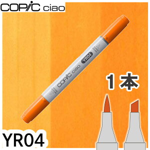 �R�s�b�N�`���I�P�iYR04